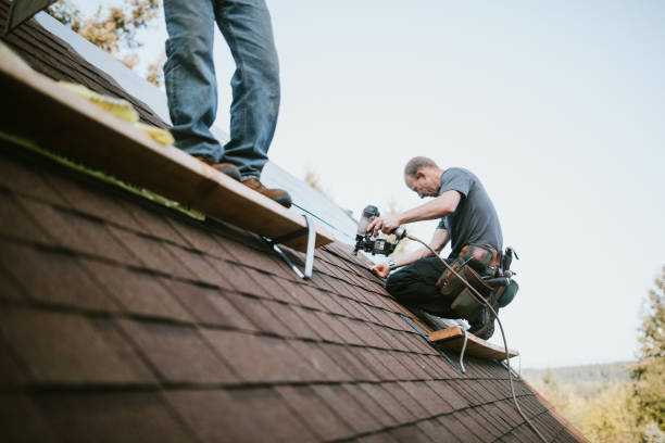 Professional Roofing Contractor in Pleasanton, CA
